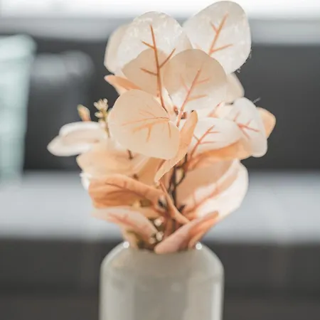 Charmante Hotelwohnung Nahe Pforzheim, Ruhige Lage * Tiefenbronn